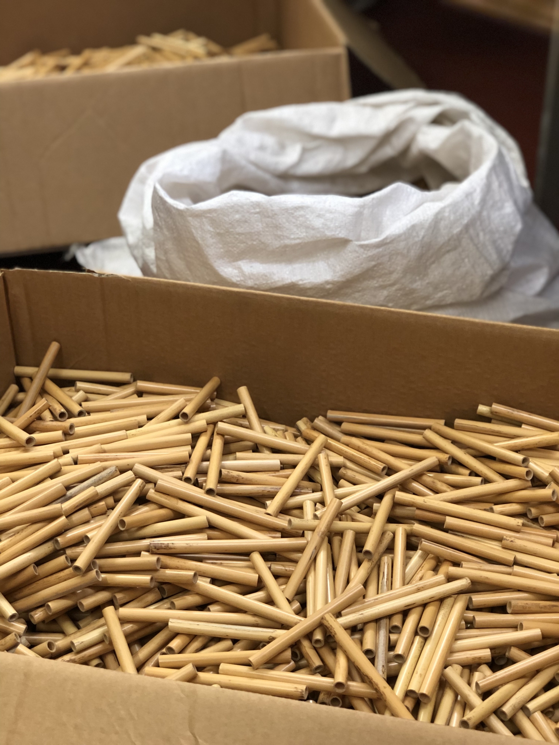 オーボエリード 材料 OBリードメーキングセットJDR | リード製作工具,リード